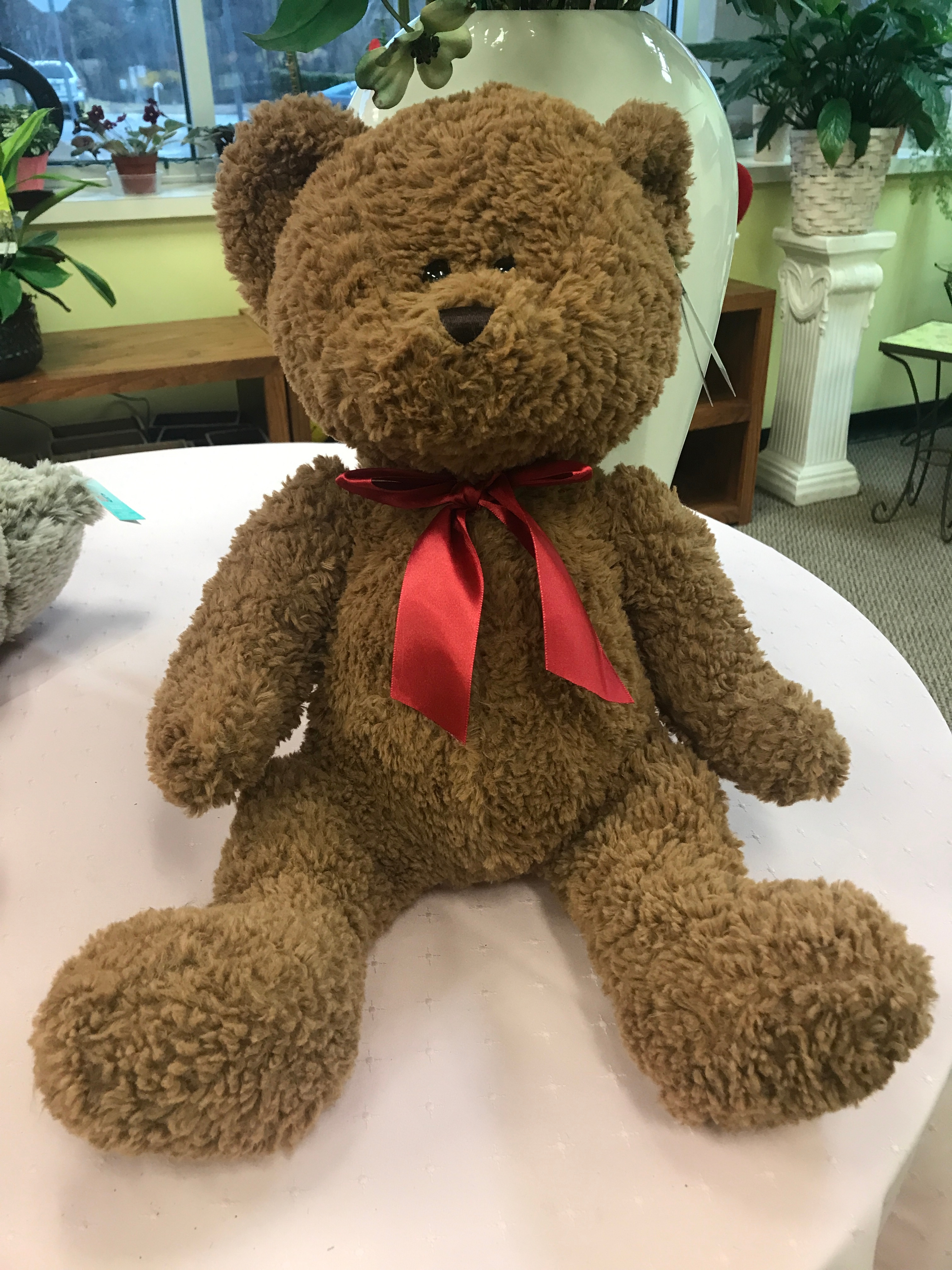 Large Teddy